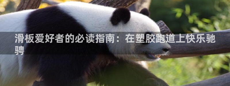 红足一1世皇冠地址：滑板爱好者的必读指南：在塑胶跑道上快乐驰
骋