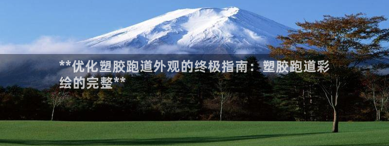 红足1世1站2站管理网：**优化塑胶跑道外观的终极指南：塑胶跑道彩
绘的完整**