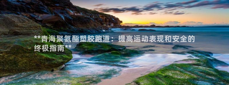 红足1世官网：**青海聚氨酯塑胶跑道：提高运动表现和安全的
终极指南**