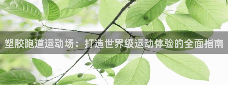 百度红足一1是为什么：塑胶跑道运动场：打造世界级运动体验的全面指南