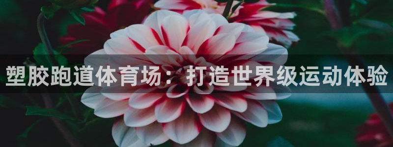红足1世手足球比分