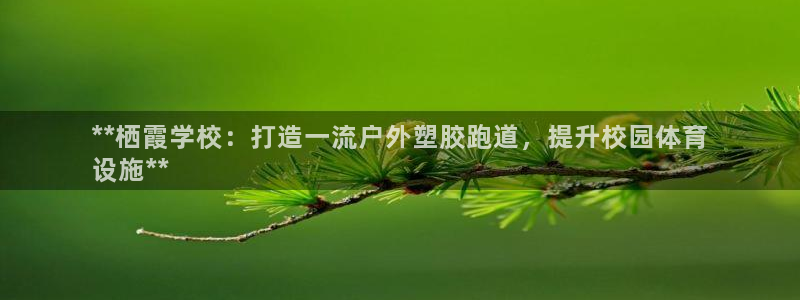 红足一生世：**栖霞学校：打造一流户外塑胶跑道，提升校园体育
设施**