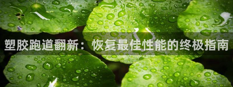 红足一1世比分：塑胶跑道翻新：恢复最佳性能的终极指南