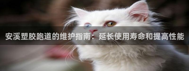 红足一1世皇冠地址：安溪塑胶跑道的维护指南：延长使用寿命和提高性能