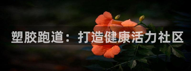 红足1世1站： 塑胶跑道：打造健康活力社区