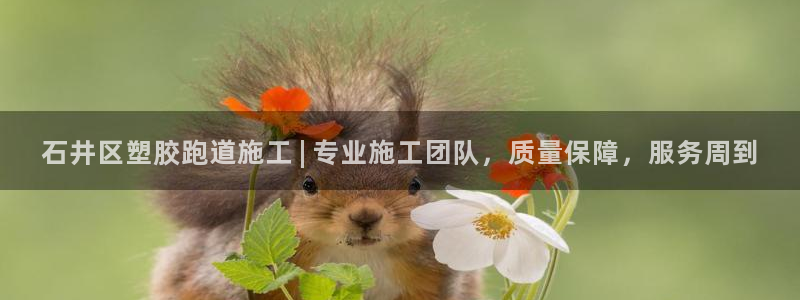 红足一1世比分网：石井区塑胶跑道施工 | 专业施工团队，质量保障，服务周到