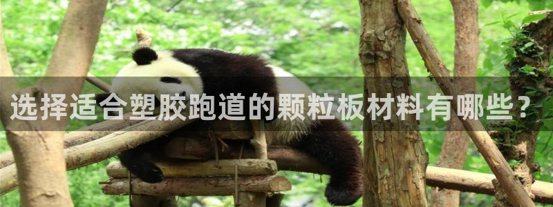 44814红足：选择适合塑胶跑道的颗粒板材料有哪些？