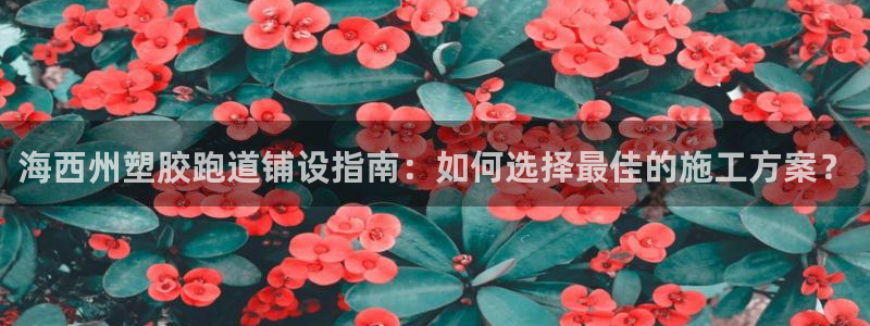 红足足球网：海西州塑胶跑道铺设指南：如何选择最佳的施工方案？