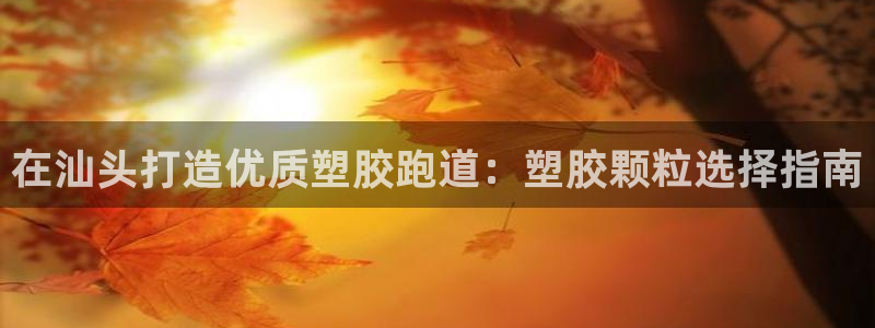 红足一1世官网比分：在汕头打造优质塑胶跑道：塑胶颗粒选择指南