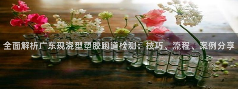 红足一1世皇冠地址：全面解析广东现浇型塑胶跑道检测：技巧、流程、案例分享