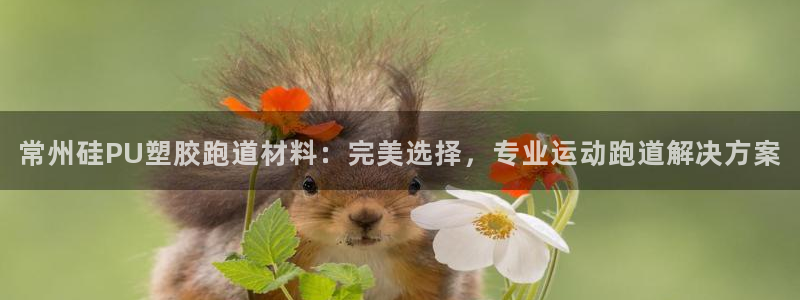 红足1一世：常州硅PU塑胶跑道材料：完美选择，专业运动跑道解决方案