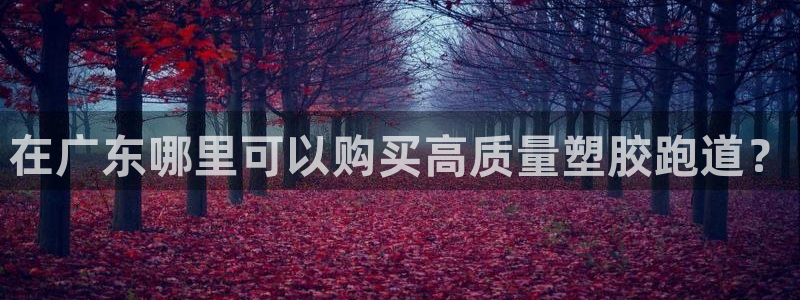 红足一1世官网比分