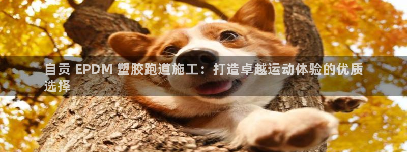 红足一1世即时比分：自贡 EPDM 塑胶跑道施工：打造卓越运动体验的优质
选择
