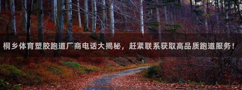 666814红·足一世比分：桐乡体育塑胶跑道厂商电话大揭秘，赶紧联系获取高品质跑道服务！