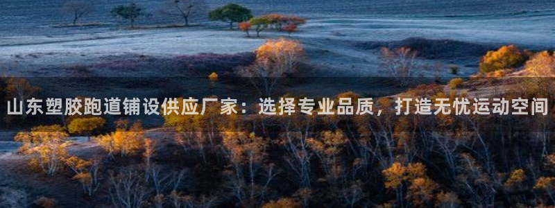 红足一1世666814足球：山东塑胶跑道铺设供应厂家：选择专业品质，打造无忧运动空间