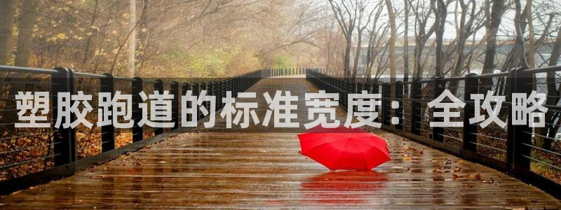 66814红足：塑胶跑道的标准宽度：全攻略
