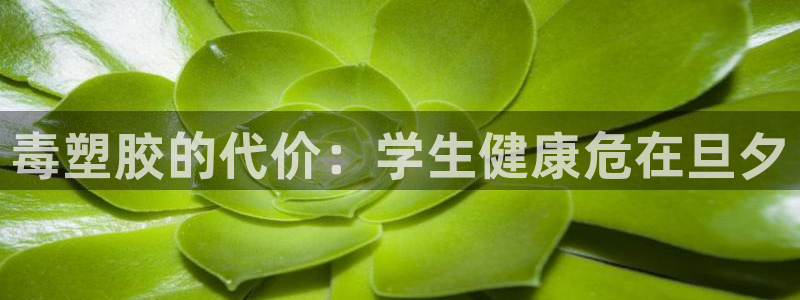 百度红足一1是什么样子的：毒塑胶的代价：学生健康危在旦夕