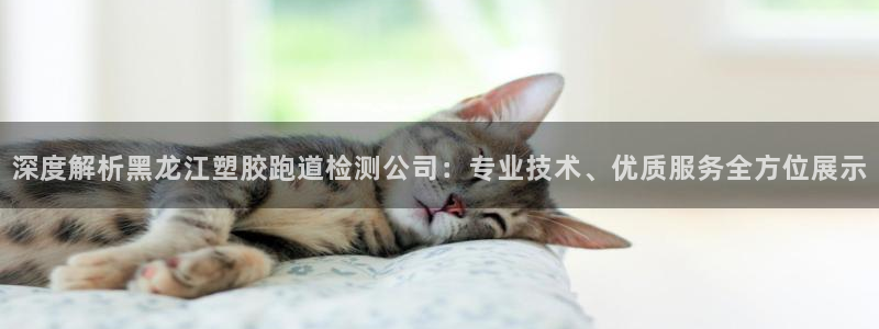百度红足一1是为什么：深度解析黑龙江塑胶跑道检测公司：专业技术、优质服务全方位展示