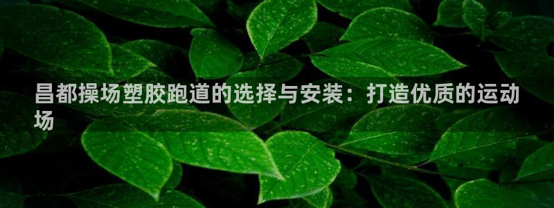 红足i世足球手机网：昌都操场塑胶跑道的选择与安装：打造优质的运动
场