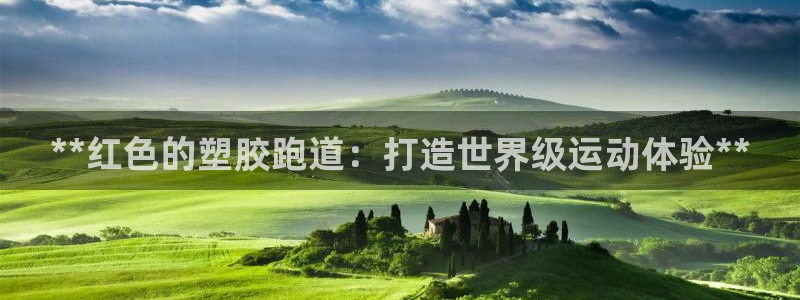 红足一比分网：**红色的塑胶跑道：打造世界级运动体验**
