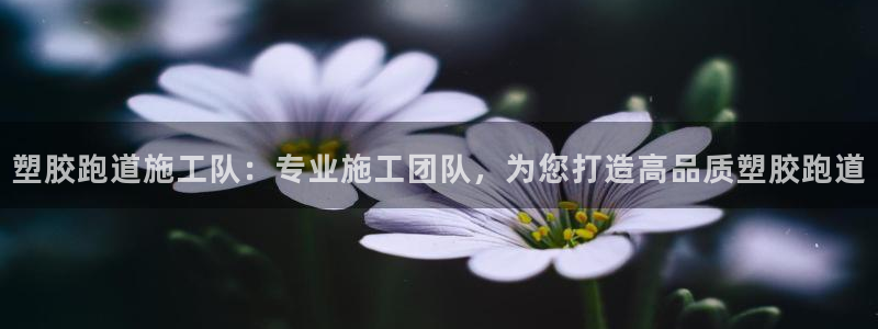 百度红足一1使用说明：塑胶跑道施工队：专业施工团队，为您打造高品质塑胶跑道