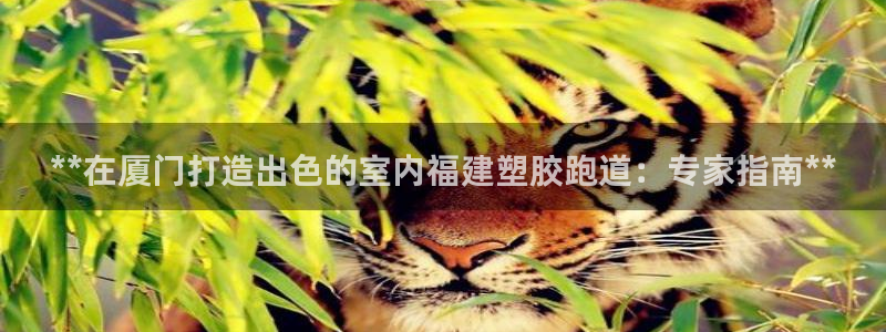 红足一1世即时比分：**在厦门打造出色的室内福建塑胶跑道：专家指南**