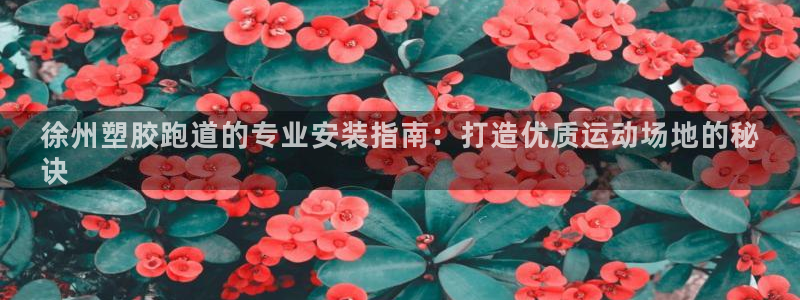 红足一1世皇冠登录：徐州塑胶跑道的专业安装指南：打造优质运动场地的秘
诀