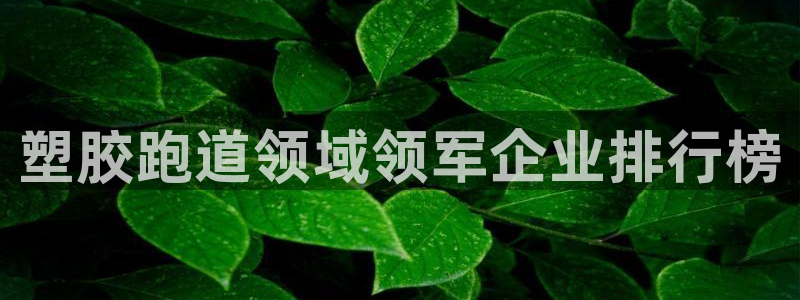 红足1世手机版下载：塑胶跑道领域领军企业排行榜