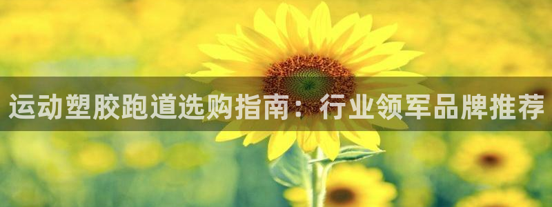 4633333开奖结果4176一点红：运动塑胶跑道选购指南：行业领军品牌推荐