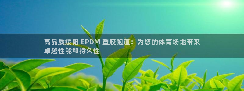 红足1世足球网址大全：高品质绥阳 EPDM 塑胶跑道：为您的体育场地带来
卓越性能和持久性