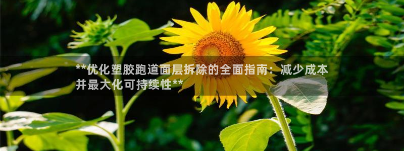红足一1世手机版赛果：**优化塑胶跑道面层拆除的全面指南：减少成本
并最大化可持续性**