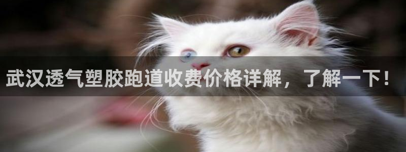 红足一1世手机版新皇冠：武汉透气塑胶跑道收费价格详解，了解一下！