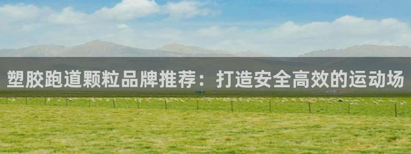 红足网足球直播：塑胶跑道颗粒品牌推荐：打造安全高效的运动场
