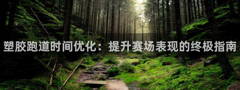 红足一一世足球网开奖记录：塑胶跑道时间优化：提升赛场表现的终极指南