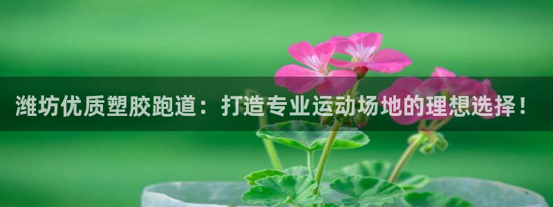 777814红·足一世比分：潍坊优质塑胶跑道：打造专业运动场地的理想选择！