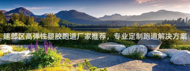 红足一1世666814最新结果：建邺区高弹性塑胶跑道厂家推荐，专业定制跑道解决方案