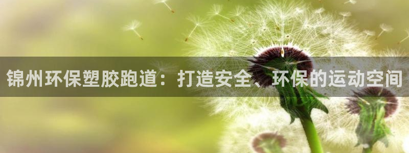 红足一一世足球网开奖记录：锦州环保塑胶跑道：打造安全、环保的运动空间