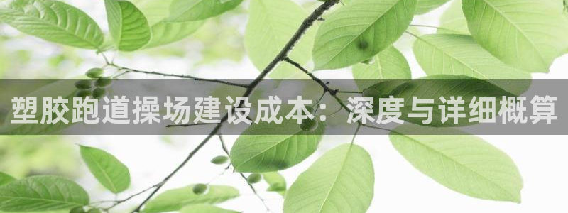 66814红足一66814世：塑胶跑道操场建设成本：深度与详细概算