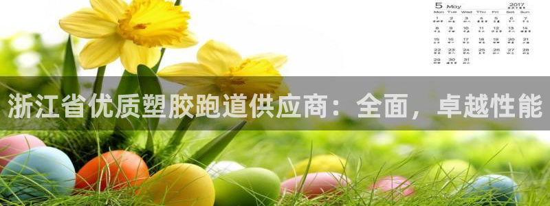 红足一1世66814：浙江省优质塑胶跑道供应商：全面，卓越性能
