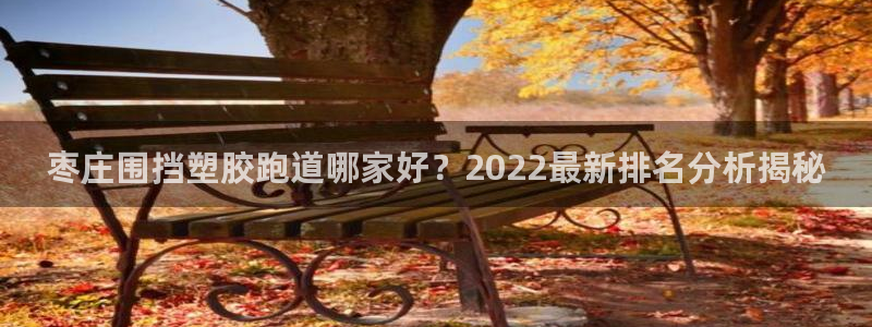 红足一1世官网：枣庄围挡塑胶跑道哪家好？2022最新排名分析揭秘