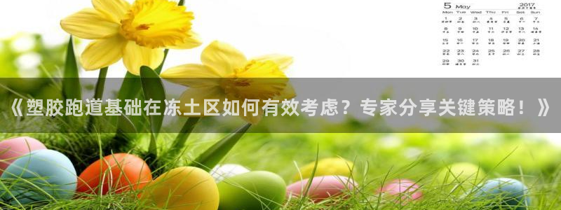 333814红·足一世比分：《塑胶跑道基础在冻土区如何有效考虑？专家分享关键策略！》