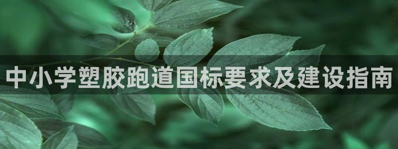 红足一1世开奖记录：中小学塑胶跑道国标要求及建设指南