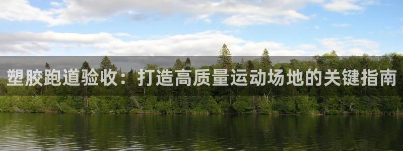 百度红足一1世：塑胶跑道验收：打造高质量运动场地的关键指南