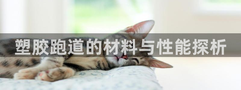 红足一比分网：塑胶跑道的材料与性能探析