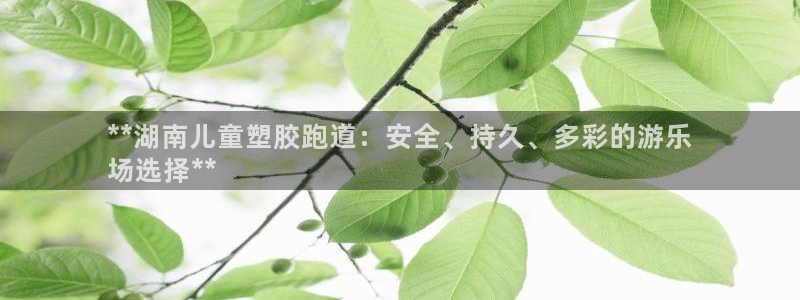 红足1世足球比分：**湖南儿童塑胶跑道：安全、持久、多彩的游乐
场选择**