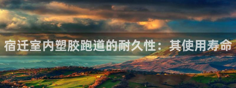 百度红足一1是什么样子的：宿迁室内塑胶跑道的耐久性：其使用寿命