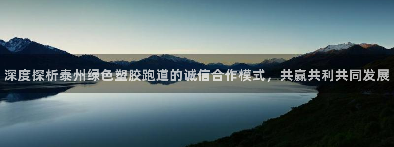 红足1一世开奖版：深度探析泰州绿色塑胶跑道的诚信合作模式，共赢共利共同发展