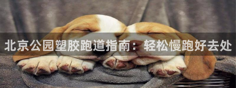 红足1一世 2站：北京公园塑胶跑道指南：轻松慢跑好去处
