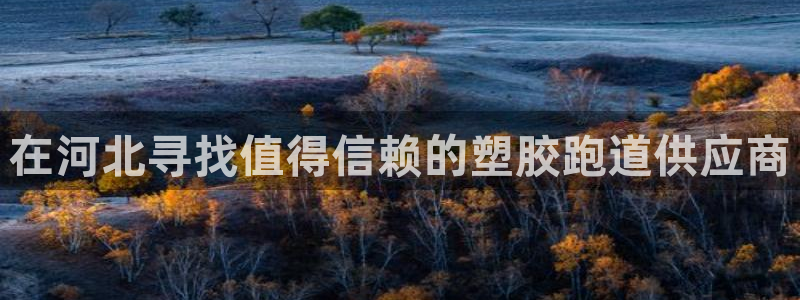 红足1世手机下载：在河北寻找值得信赖的塑胶跑道供应商