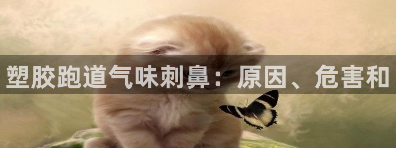 红足一1世官网比分：塑胶跑道气味刺鼻：原因、危害和